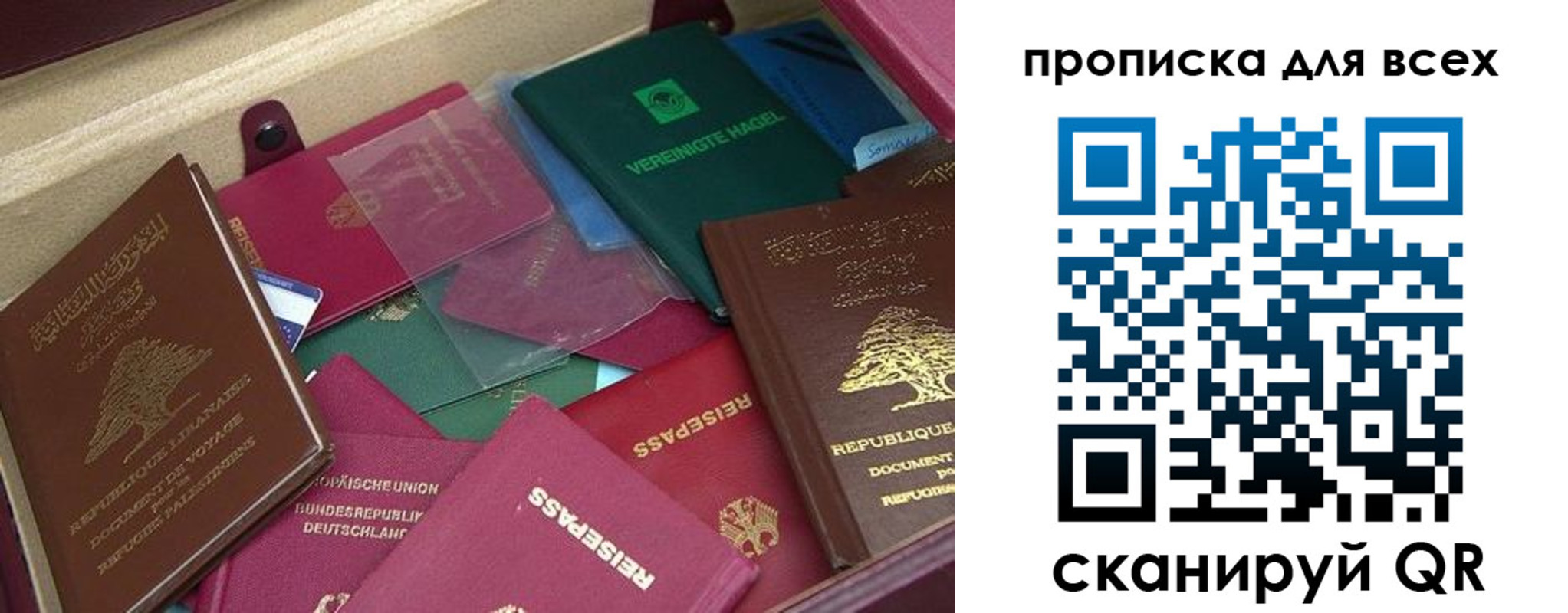 прописка гарантия в Новомосковске